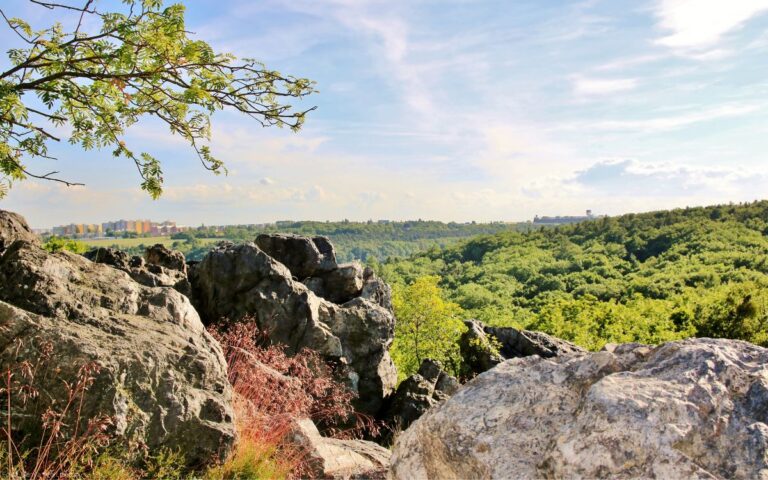 Naturreservat Wilde Šárka (Divoká Šárka) - PRAG BESUCHEN