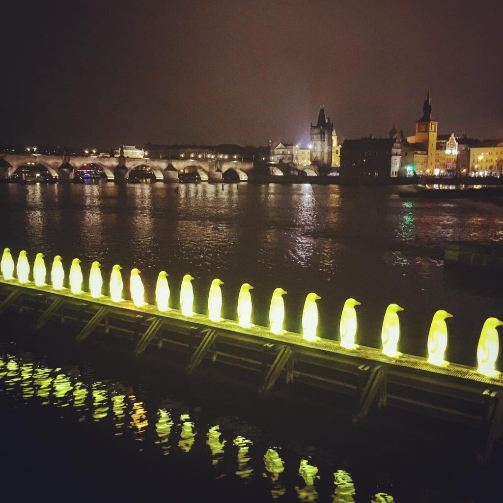 Die beleuchteten gelben Pinguine am Moldauufer bei Nacht. Kunstinstallation und Stadtpanorama schaffen eine besondere Stimmung.