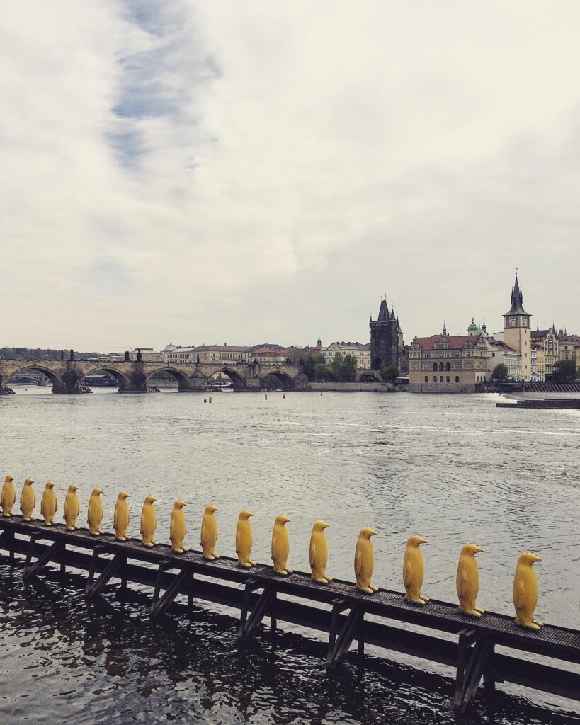 Blick vom Moldauufer Richtung Altstadt mit gelben Pinguin-Installationen auf dem Fluss. Eine Aufnahme, die Kunst und Stadtlandschaft verbindet.