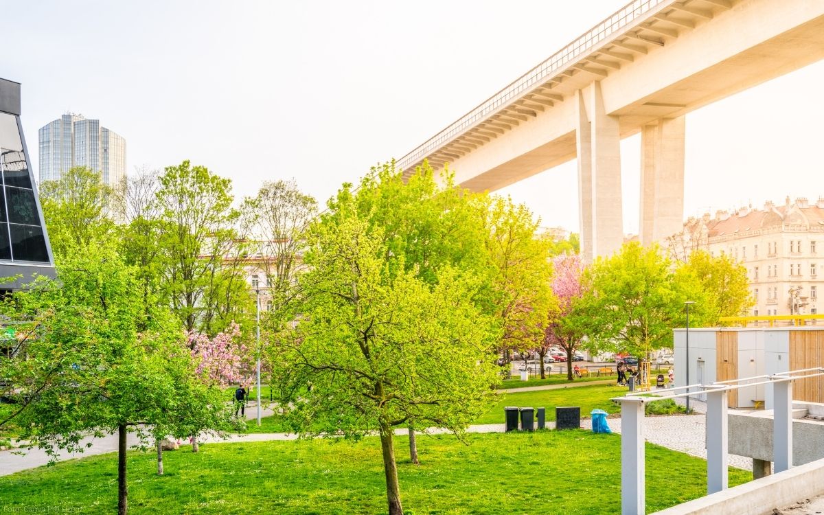 PArk Folimanka