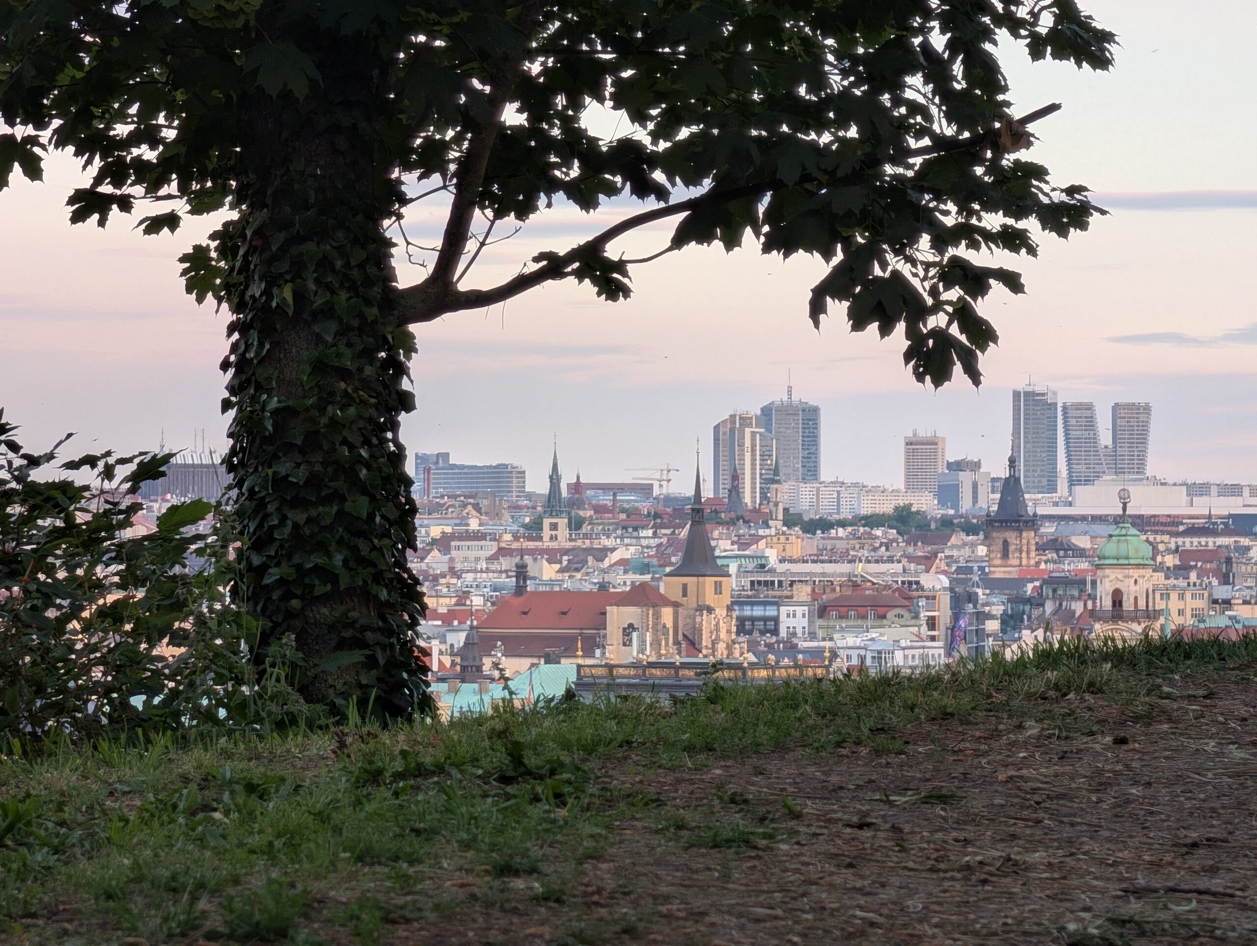 Ausblick vom Letná-Park durch Bäume auf historische Dächer, Kirchtürme und moderne Hochhäuser in Prag