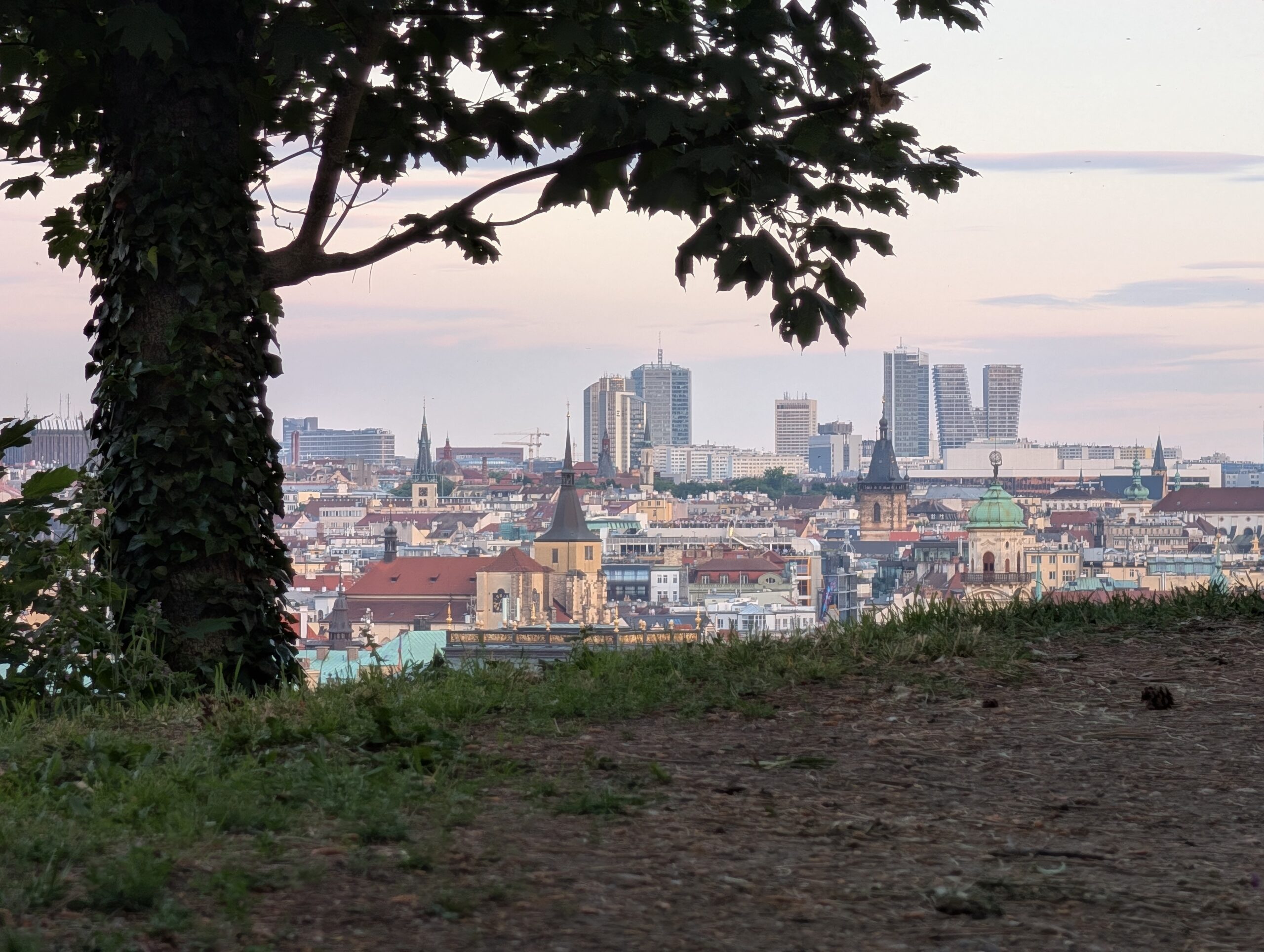 Ausblick vom Letná-Park durch Bäume auf historische Dächer, Kirchtürme und moderne Hochhäuser in Prag
