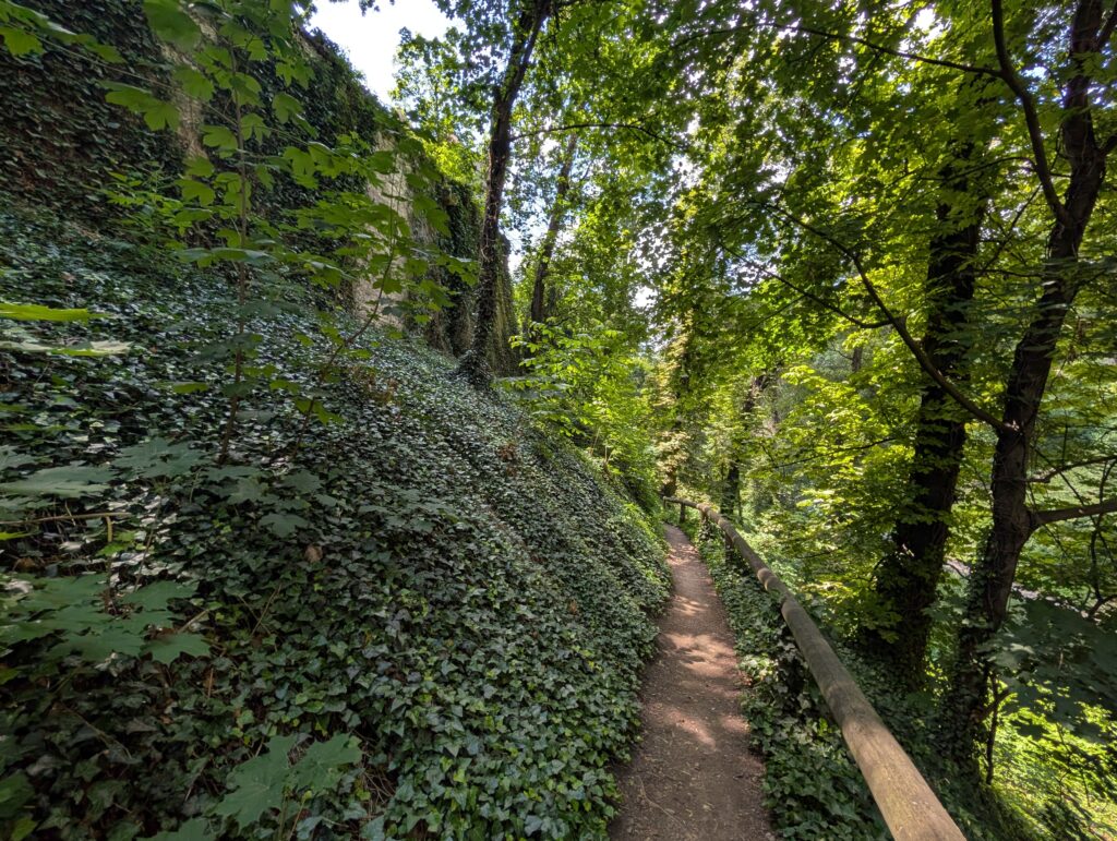 Schmaler Waldweg mit Holzgeländer und dicht bewachsenem Hang im Hirschgraben der Prager Burg