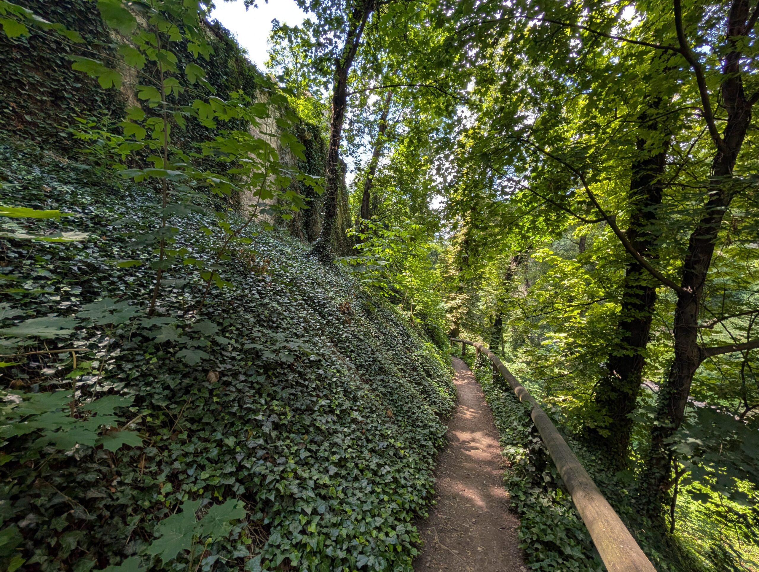 Schmaler Waldweg mit Holzgeländer und dicht bewachsenem Hang im Hirschgraben der Prager Burg