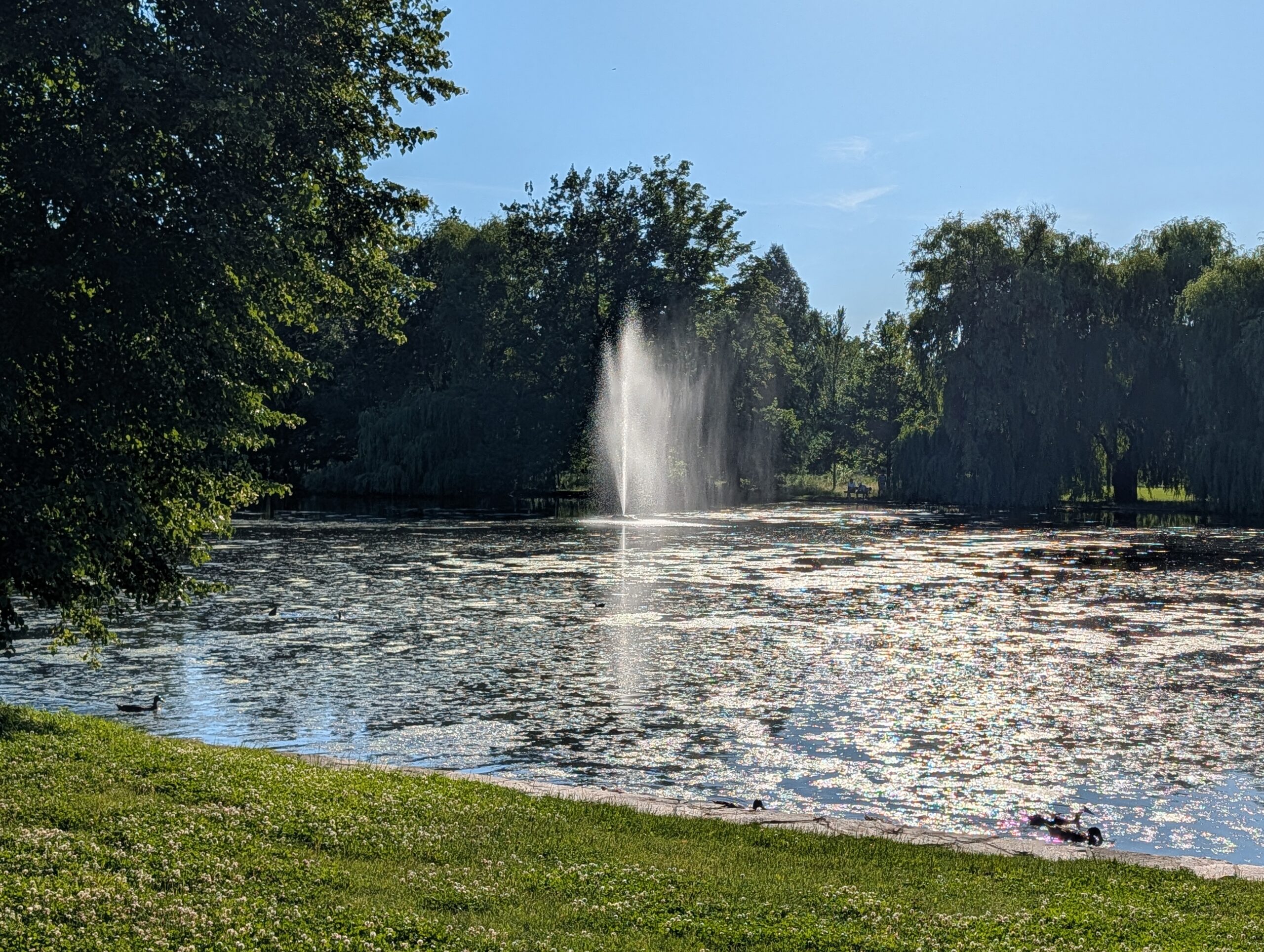 Parkteich mit Fontäne und alten Weiden im Königlichen Wildpark Stromovka (Královská obora Stromovka) in Prag.
