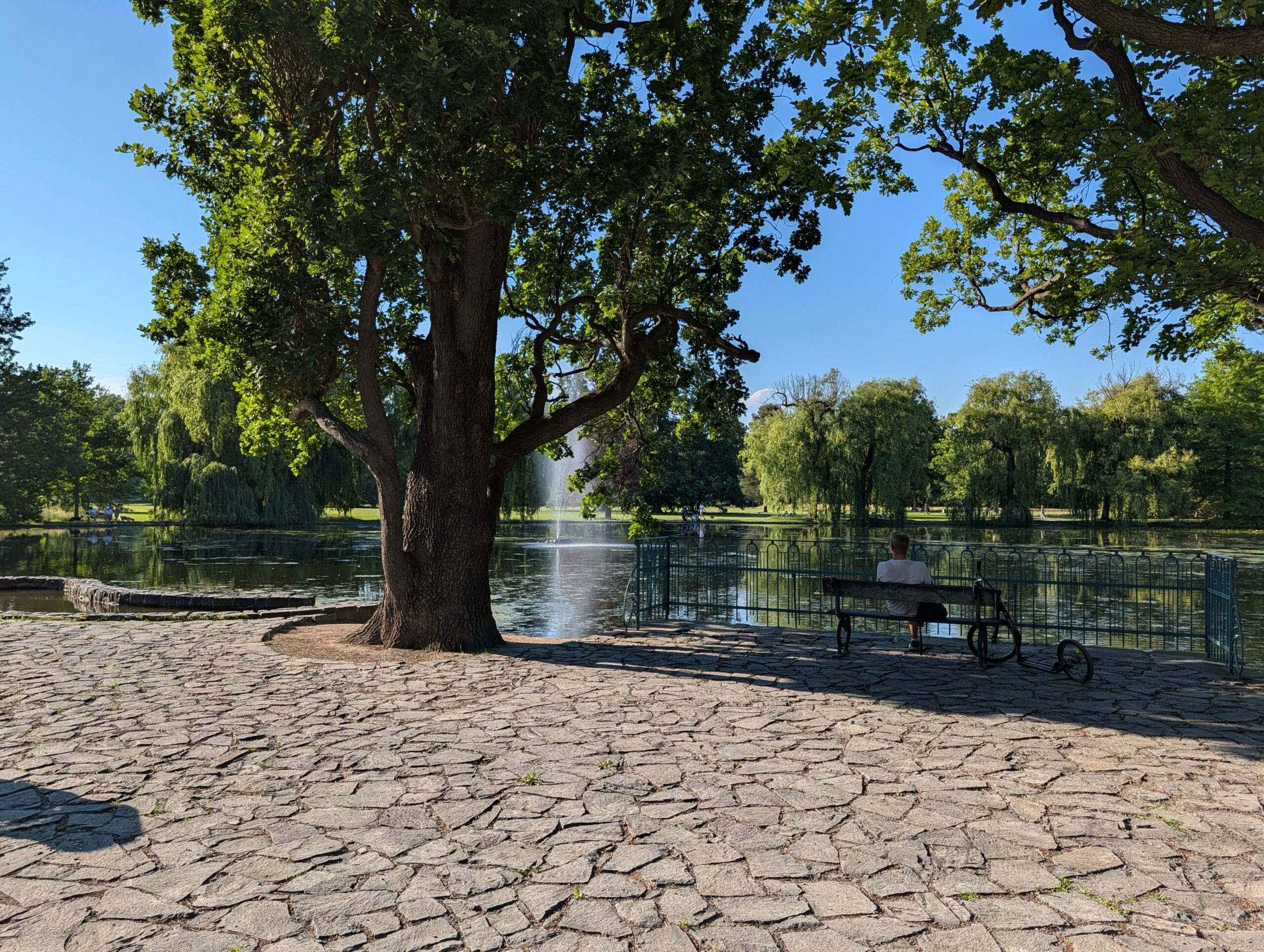 Sitzbank unter alten Bäumen am Parkteich im Königlichen Wildpark Stromovka (Královská obora Stromovka) in Prag.