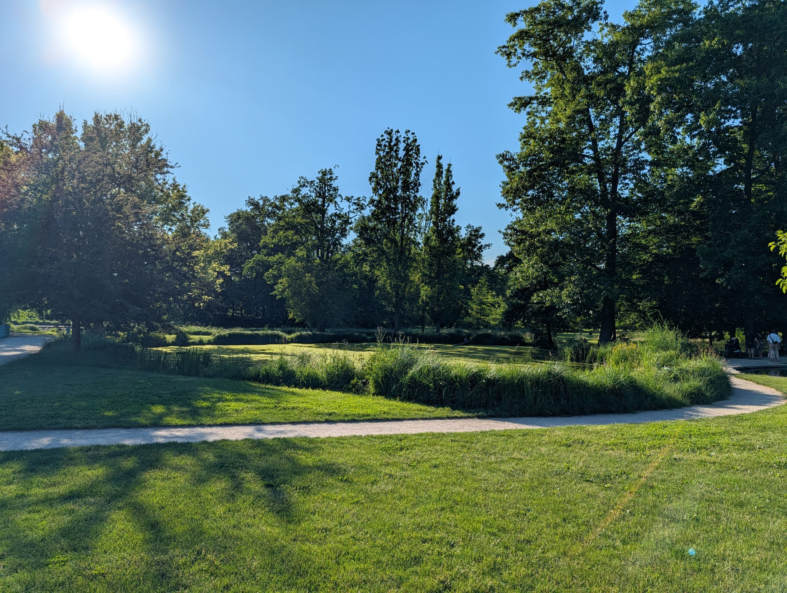 Geschwungene Wege und weitläufige Wiesen im Königlichen Wildpark Stromovka (Královská obora Stromovka) in Prag.