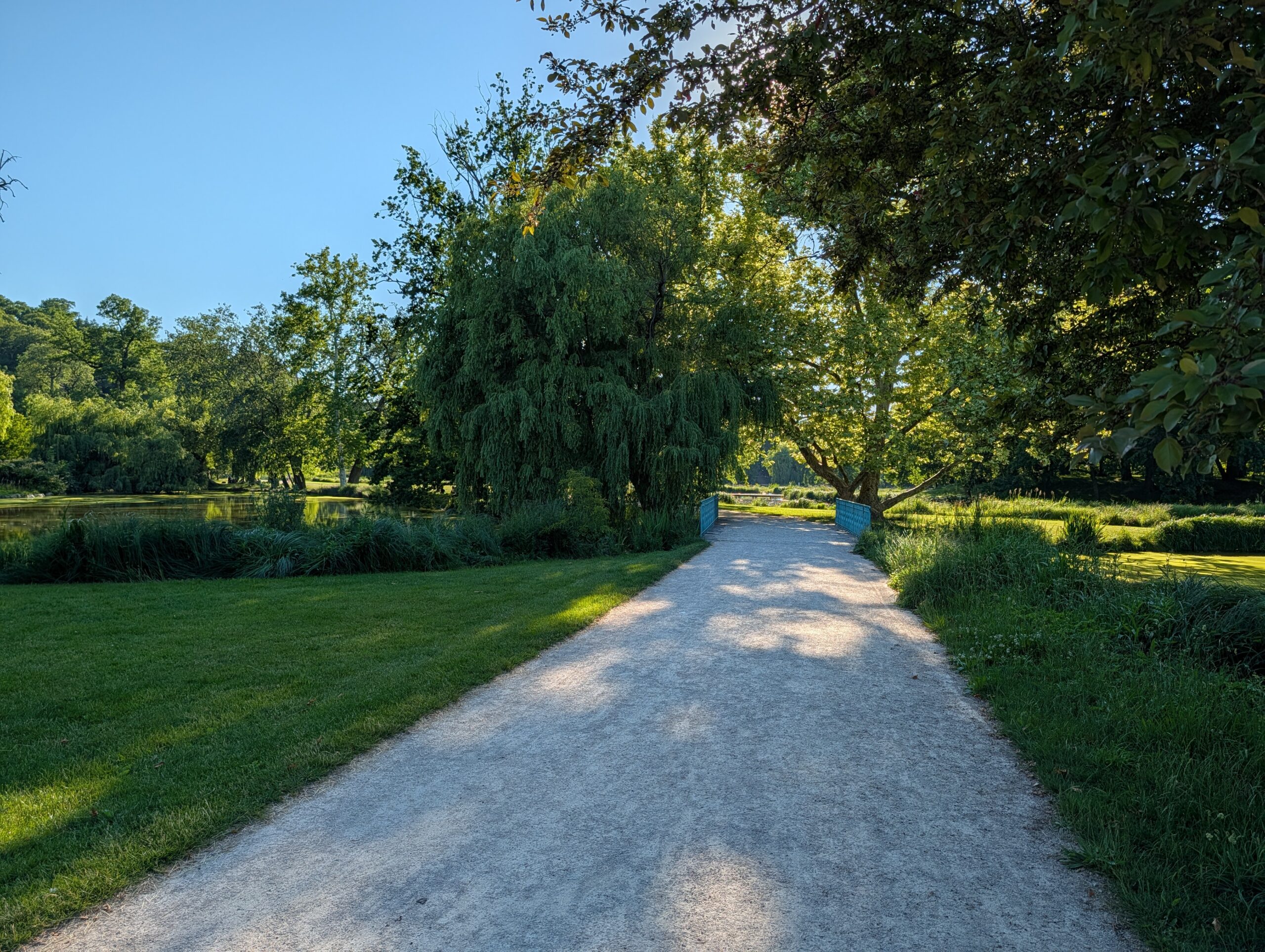 Breiter Spazierweg zwischen Wiesen, Teichen und alten Bäumen im Königlichen Wildpark Stromovka (Královská obora Stromovka) in Prag.