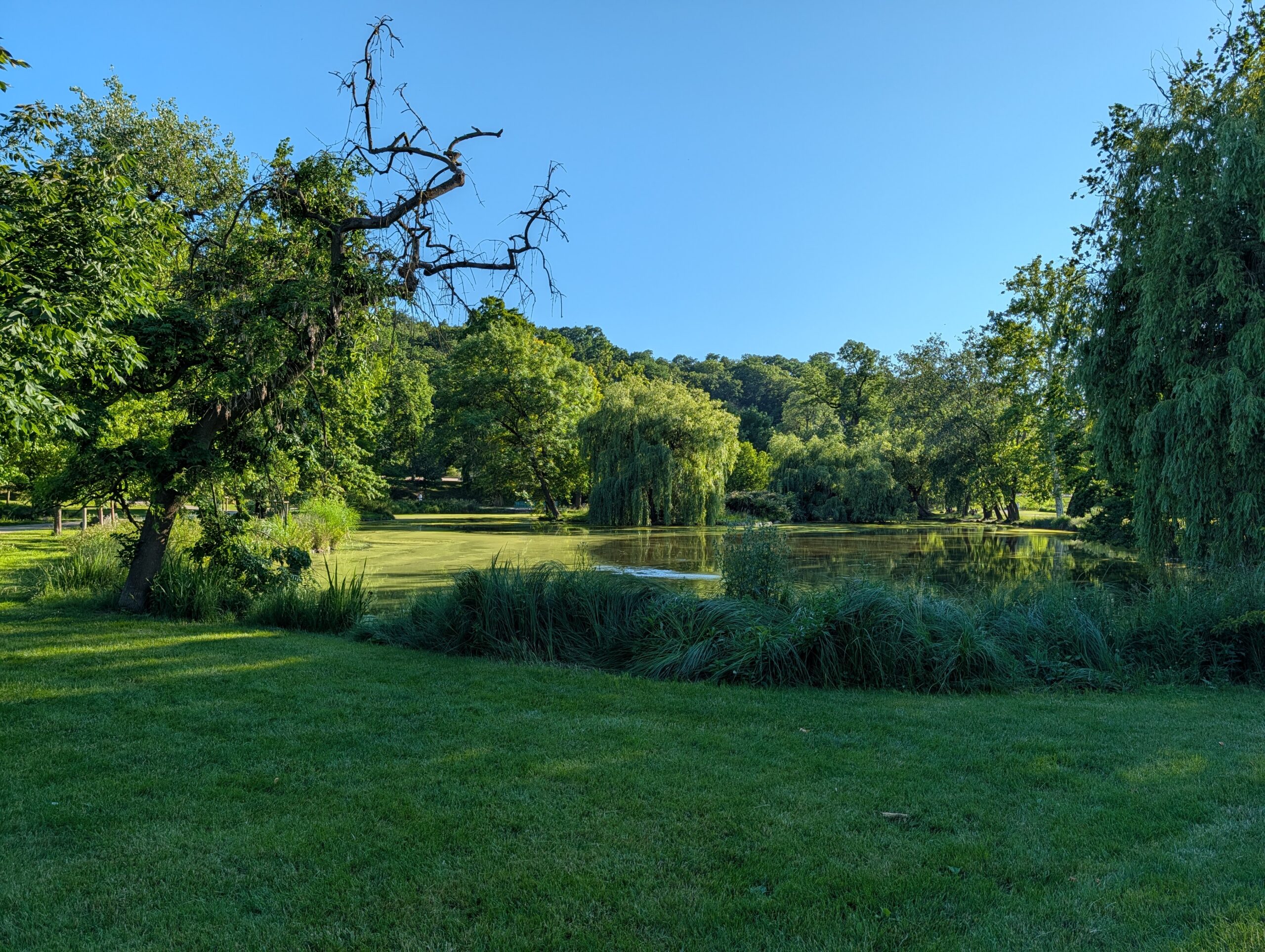 Parkteich mit Wiesen und alten Bäumen im Königlichen Wildpark Stromovka (Královská obora Stromovka) in Prag.