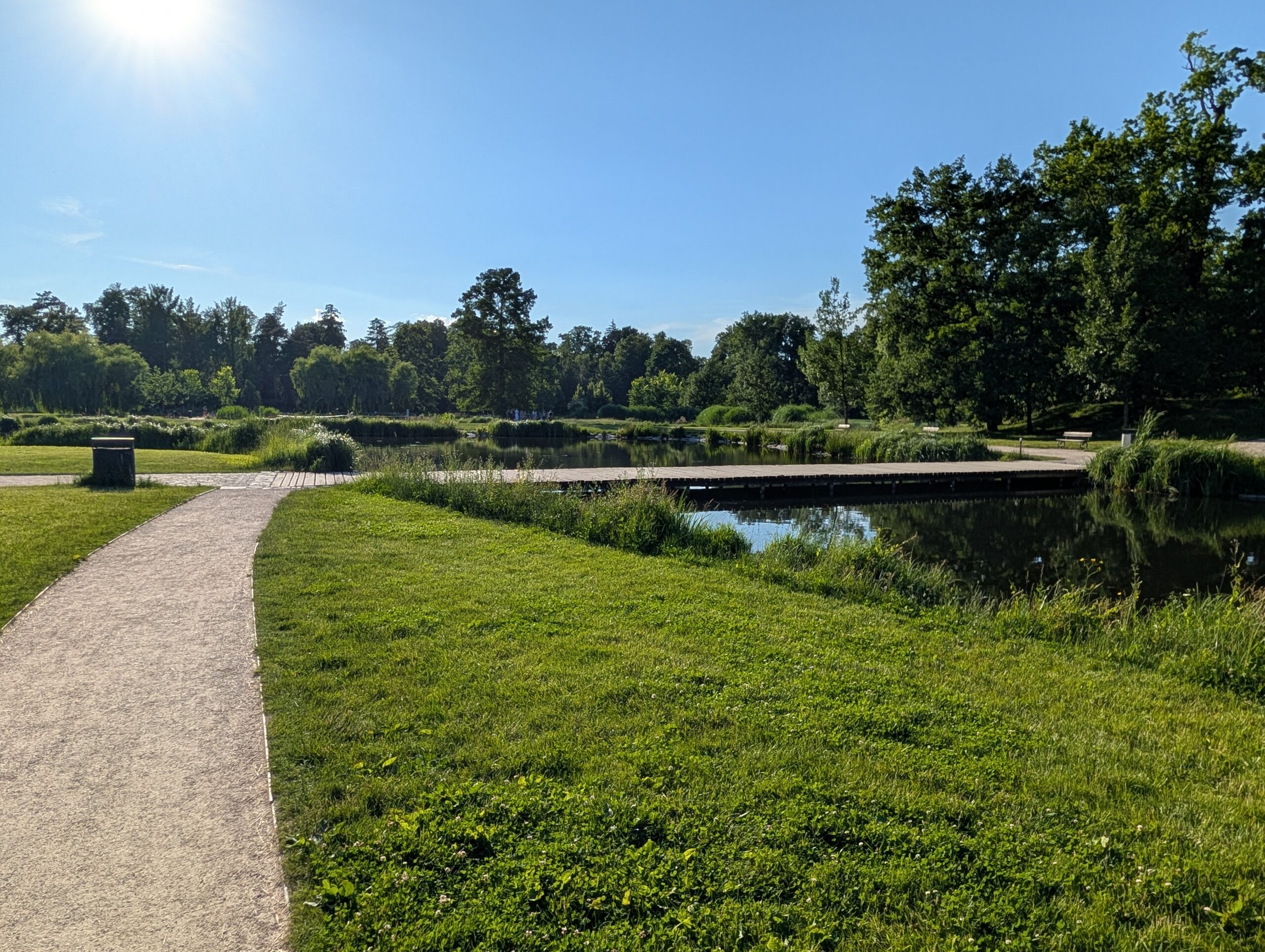 Spazierweg und Holzsteg an den Teichen im Königlichen Wildpark Stromovka (Královská obora Stromovka) in Prag.