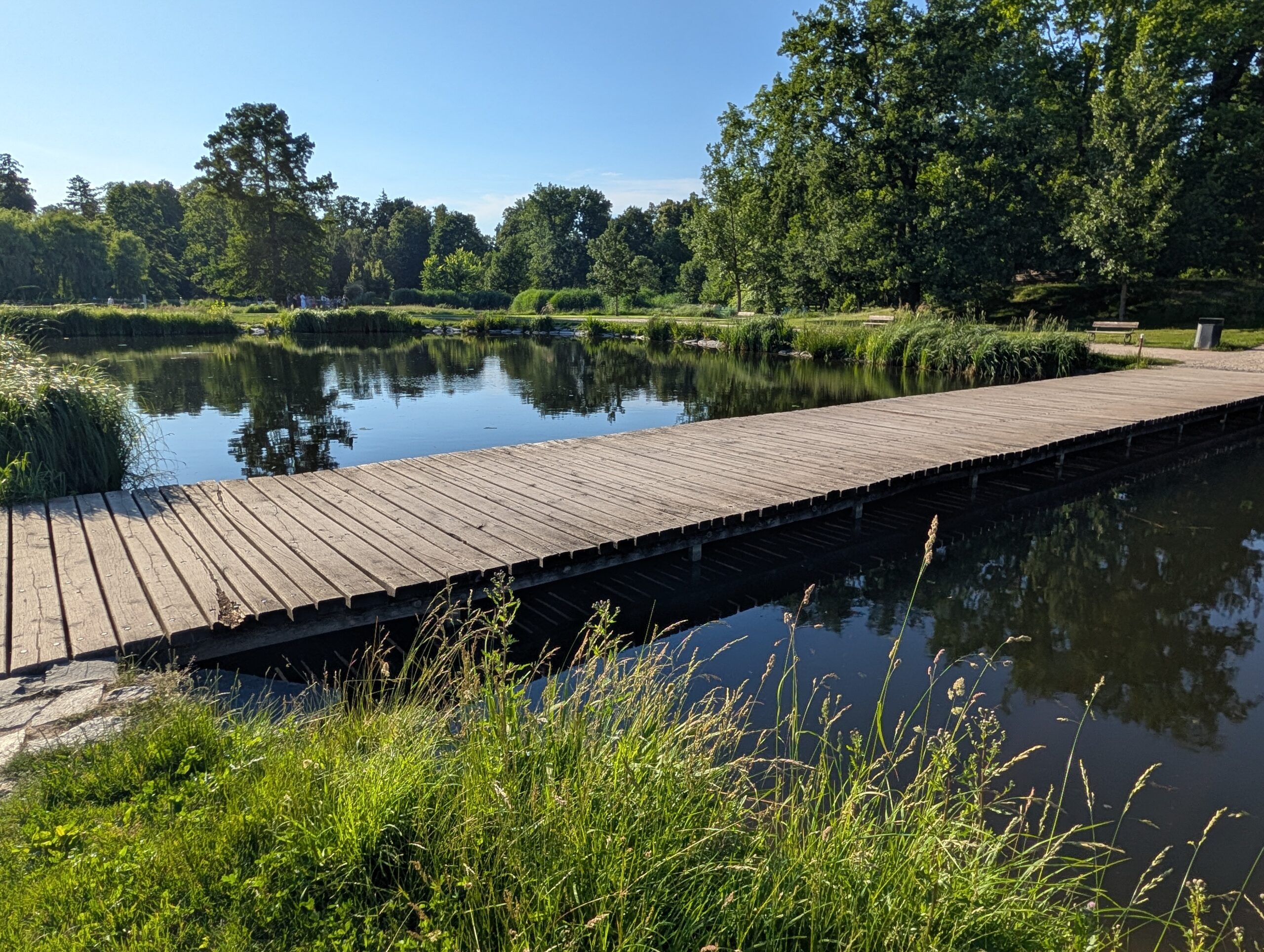 Holzsteg über einen Teich im Königlichen Wildpark Stromovka (Královská obora Stromovka) in Prag.