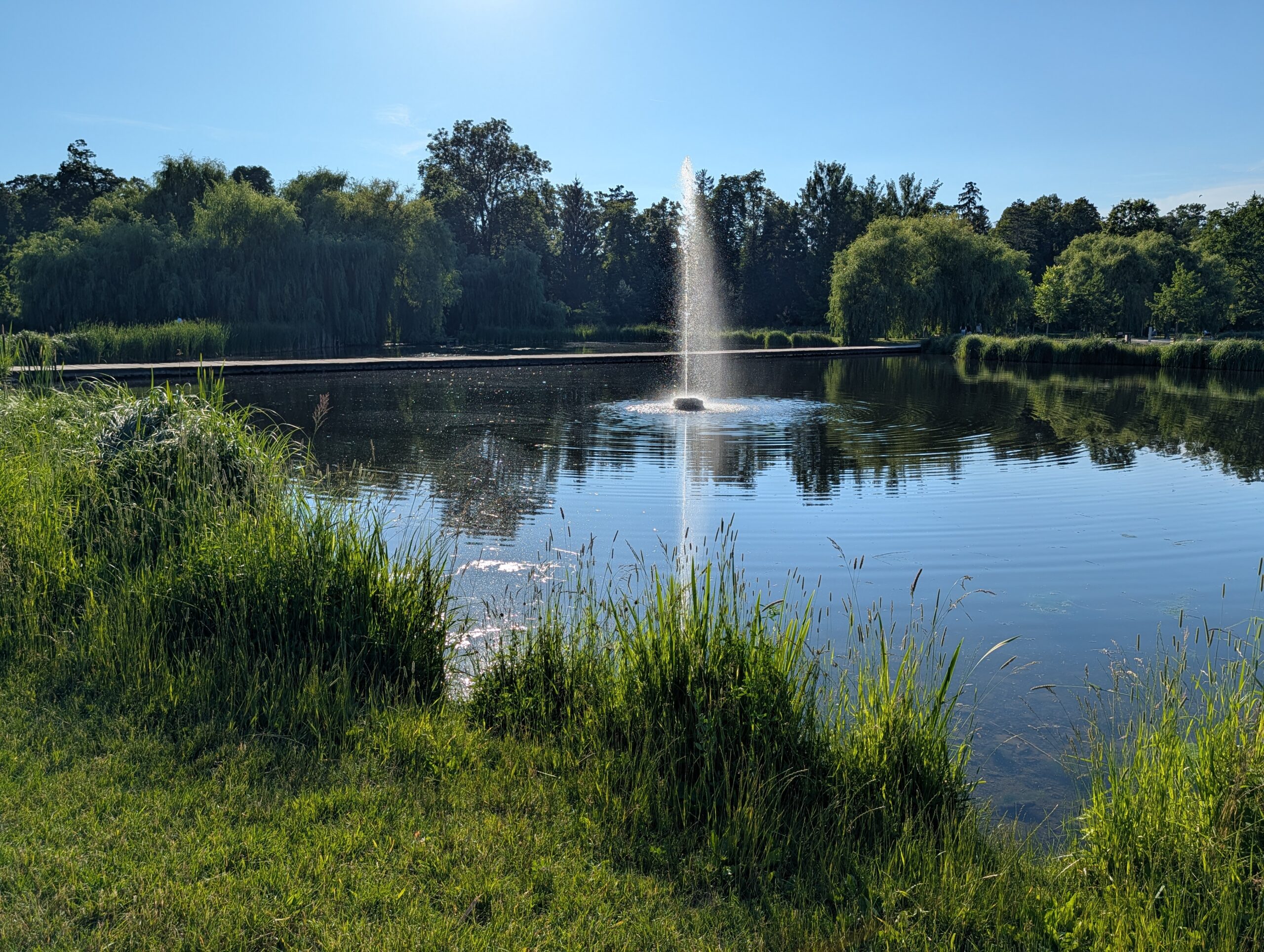 Springbrunnen auf einem großen Teich im Königlichen Wildpark Stromovka (Královská obora Stromovka) in Prag.
