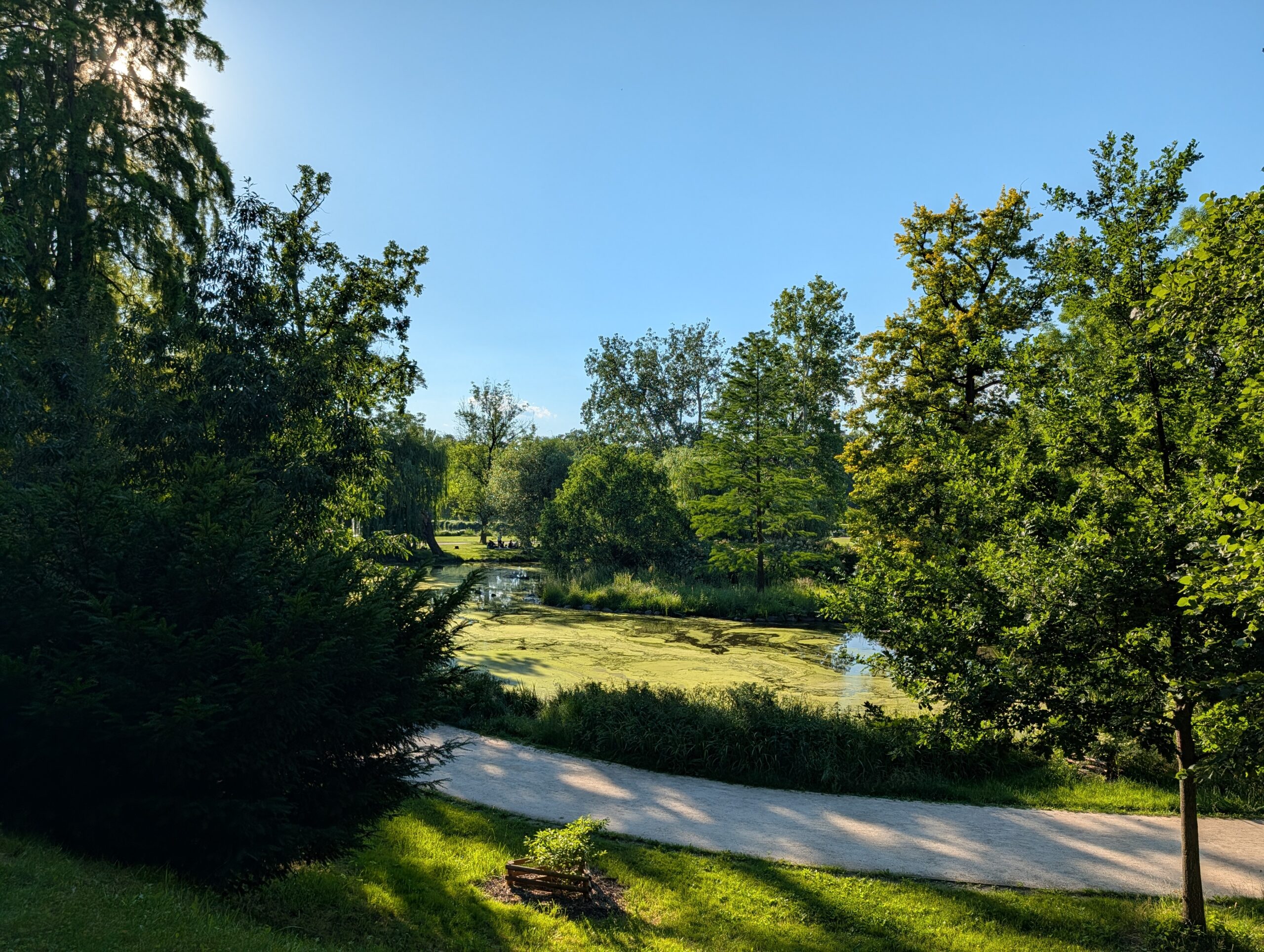 Blick auf einen Teich und einen Spazierweg im Königlichen Wildpark Stromovka (Královská obora Stromovka) in Prag.