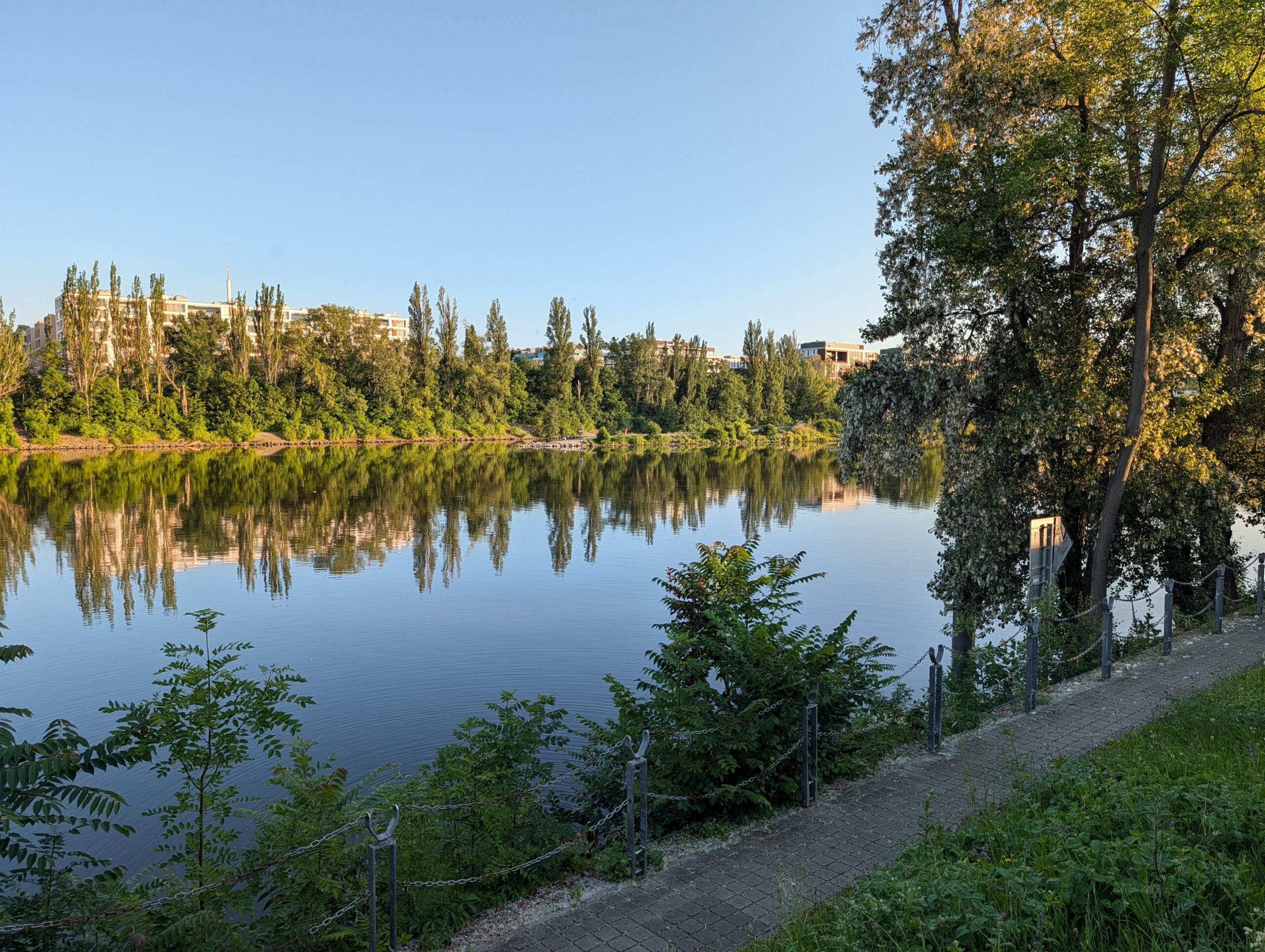 Blick vom Bubenské nábřeží in Holešovice über die Moldau zur grünen Insel Štvanice mit ruhigem Wasser und spiegelnden Bäumen.