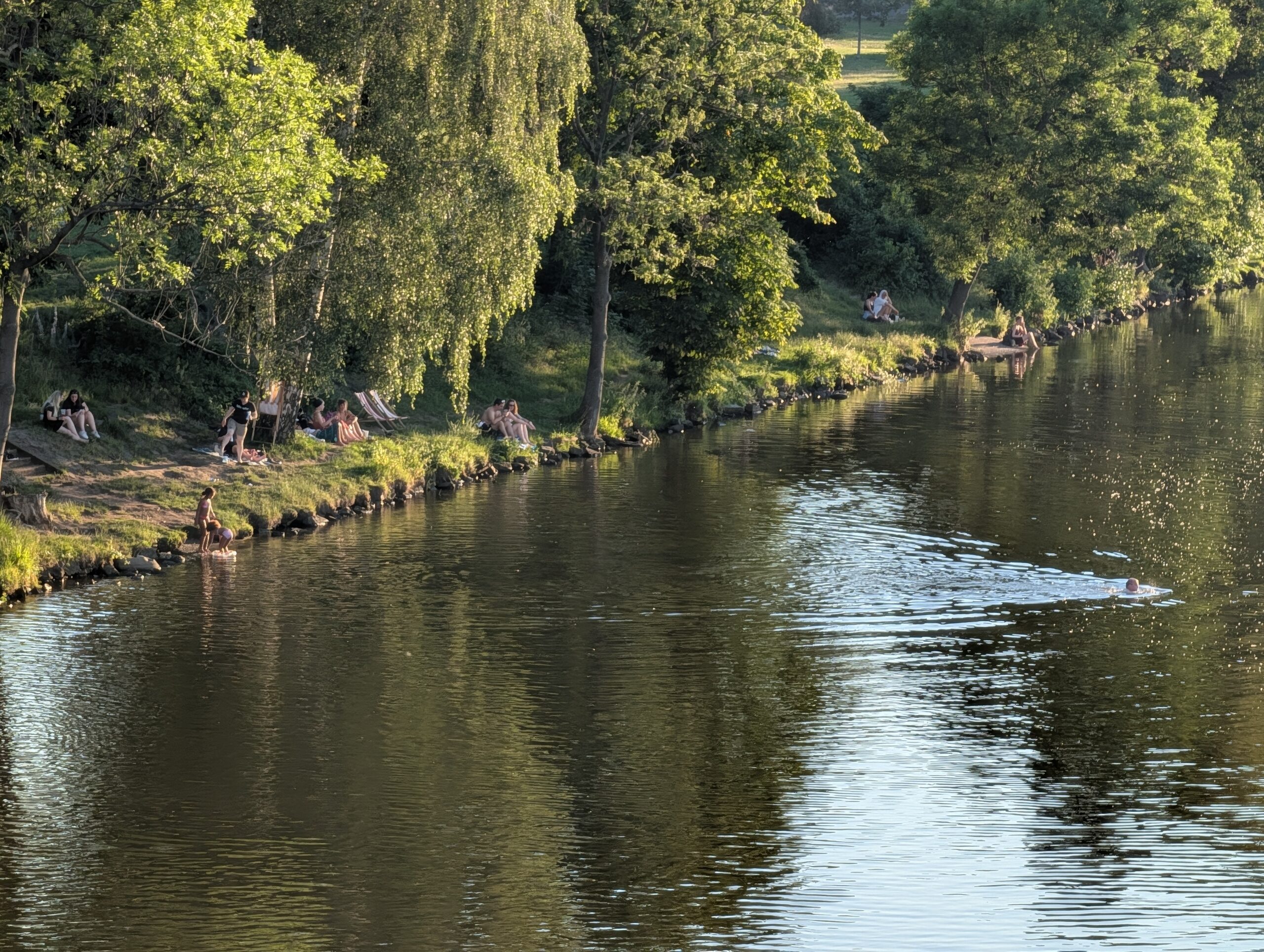 Naturbelassenes Ufer der Moldau bei der Insel Štvanice in Prag mit Badenden, Schwimmern und Menschen, die an einem Sommerabend am Fluss entspannen.